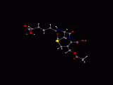 cephal_animated.gif, 107215 bytes, 2/2/99
